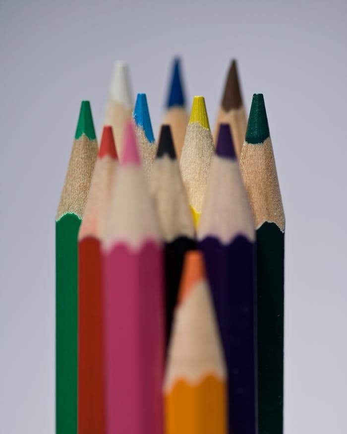 An artistic close-up of vibrant colored pencils grouped together in focused detail.